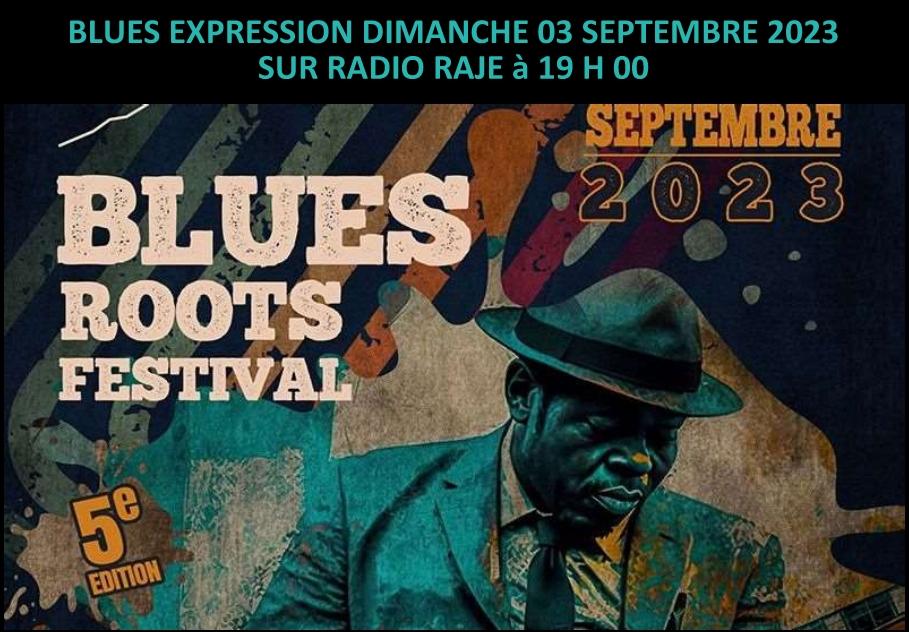 Blues Expression spéciale Blues Roots Festival 2023 avec Sylvie Declas